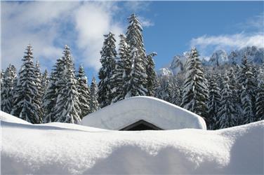 Bei den Forsttagsatzungen werden Neuerungen im Wald- und Almbereich vorgestellt, Ziele und Jahresprogramme vereinbart und Ermächtigungen – Weide, außerordentliche Holzschlägerungen - erteilt. Foto: Forstschule Latemar