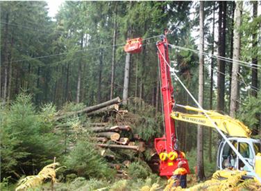 Eine effizientere und nachhaltigere Holzernte und Errstverarbeitung des Holzes wird durch eine Maßnahme des EU-Entwicklungsprogramms für den ländlichen Raum gefördert. Foto: LPA/Amt für Bergwirtschaft