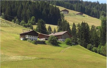 Die Regionalregierung hat die Beiträge für die Vorsorgeleistungen für landwirtschaftliche Betriebe in höheren Lagen festgelegt. Foto: LPA