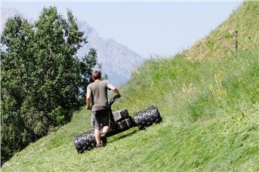 "Aktiver Landwirt" oder nicht? Für Betriebe im Berggebiet ist lediglich der Besitz einer landwirtschaftlichen Mehrwertsteuernummer Voraussetzung. Foto: LPA/pixabay