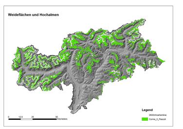 Weideflächen und Hochalmen. Quelle: Ressort Land- und Fosrtwirtschaft