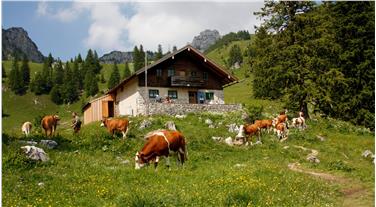 Contributi per la costruzione di nuovi impianti idroelettrici per allacciare alla rete elettrica malghe e rifugi (Foto www.pixabay.com)