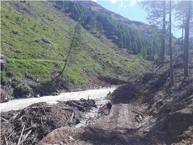 Il materiale che rischiava di ostruire il percorso del rio Carlino e che è stato sgomberato (Foto USP)