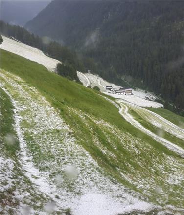 Prime grandinate a giugno in Alto Adige: nella foto un prato "imbiancato" in val Sarentino (Foto USP/Servizio meteo)