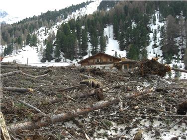 Pascoli sull'alpe di Melago dopo una valanga. Foto: USP/Ispettorato forestale di Silandro