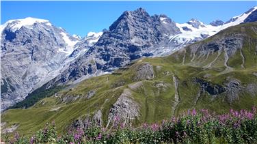 Un tratto della prima tappa dell'Alta Via nella zona dell'Ortles. Foto: Alessandro De Polo