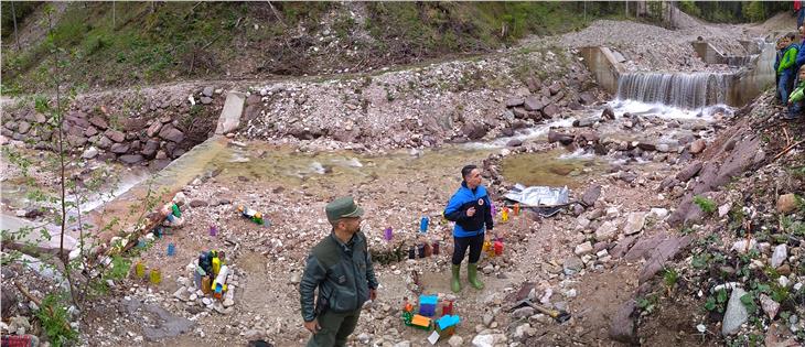 I Bacini montani dell’Agenzia provinciale della Protezione civile hanno organizzato con i forestali una giornata di studio per 70 alunni delle elementari di Tesimo Foto: Agenzia per la Protezione civile