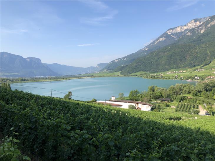 Monitoraggio costante della qualità dell'acqua al lago di Caldaro (Foto USP/Agenzia ambiente)