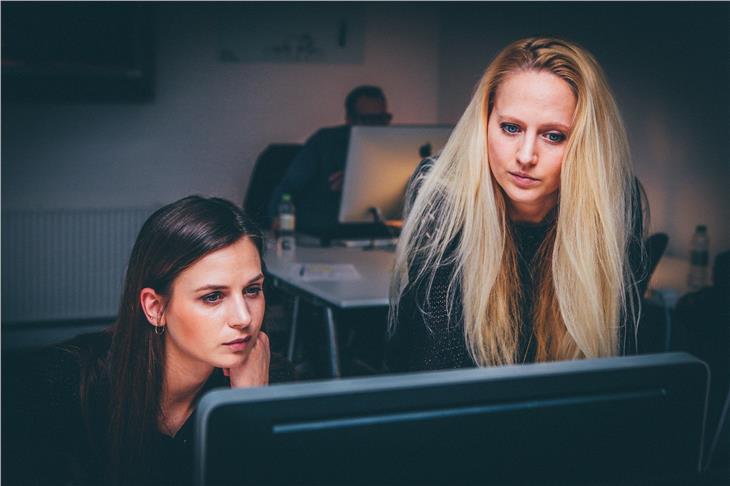Una nuova pubblicazione dell'Euregio riferisce della realtà di donne e uomini nei rispettivi territori  (Foto: ASP/pixabay)