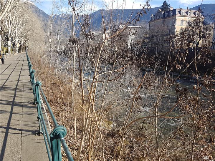 Sono ripresi i lavori di manutenzione degli argini del fiume Passirio, a Merano (Foto: ASP/Agenzia protezione civile)
