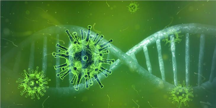 Ordinanza del presidente Kompatscher per contrastare la diffusione del Coronavirus (Foto: pixabay.com)