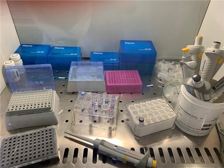 I dati raccolti ieri (14 marzo) dal Laboratorio di microbiologia e virologia dell’Azienda sanitaria provinciale hanno rilevato complessivamente 40 nuovi casi di Covid-19 (Foto: ASP/Ivo Corrà)
