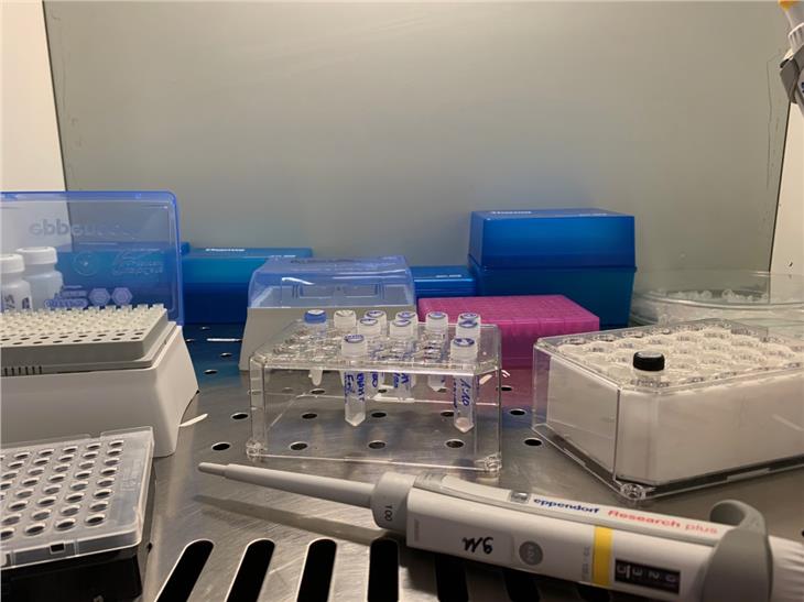 Sono 1249 le persone sottoposte al test per il Coronavirus (Foto: Asdaa)