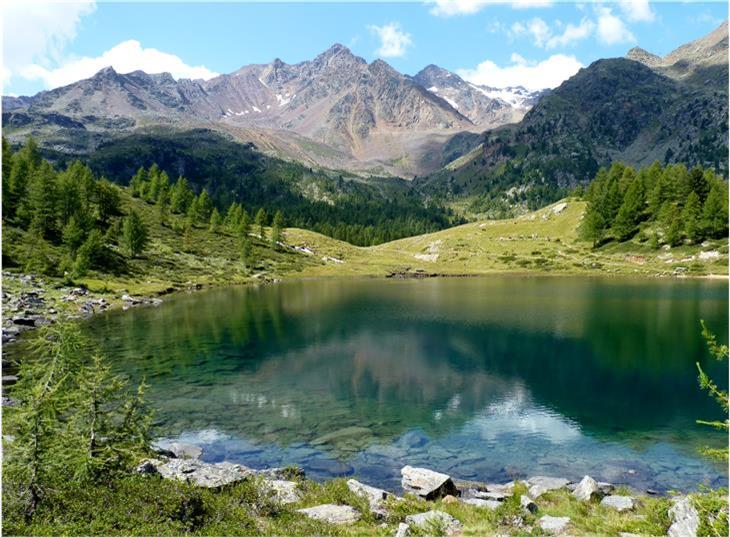 La Giunta provinciale ha nominato oggi (15 aprile) il nuovo Comitato di gestione del Parco nazionale dello Stelvio (Foto: Parco nazionale dello Stelvio/Cinzia Zanelli)