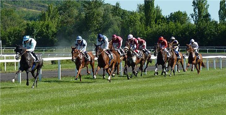 L'assessore provinciale all’agricoltura Arnold Schuler si esprime a favore di un largo sostegno dell’Ippodromo di Merano per scongiurarne la chiusura (Foto: pixabay)