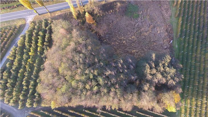 Visione aerea del biotopo di Naturno. (Foto: ASP)