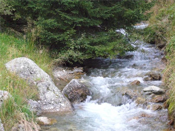 Il Rio di Vila nel suo tratto superiore è divenuto monumento naturale. Si estende dal confine del parco naturale Vedrette di Ries-Aurina fino alla confluenza del Fossato Forer, sotto il paese di Vila di Sopra. (Foto:ASP/Pianificazione paesaggistica)