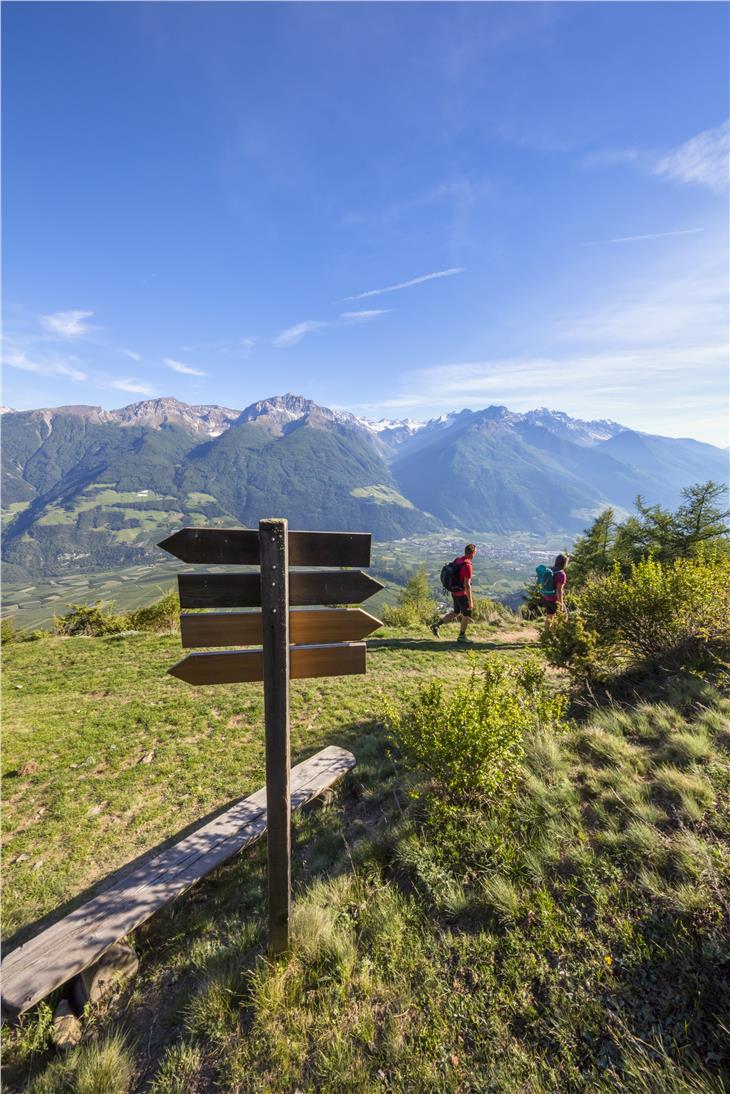 Tra la segnaletica per la quale non è necessaria autorizzazione paesaggistica vi è quella riferita ai sentieri. Qui l'Alta via della Venosta. (Foto: IDM Alto Adige/Frieder Blickle)