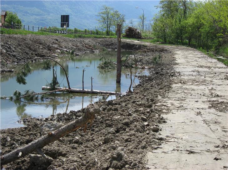 Grazie al progetto di rinaturalizzazione nell'ex meleto è stato predisposto uno stagno allestito con tronchi e rami di alberi, per creare habitat adatti agli anfibi. (Foto: ASP/Ufficio natura/Maria Luise Kiem)