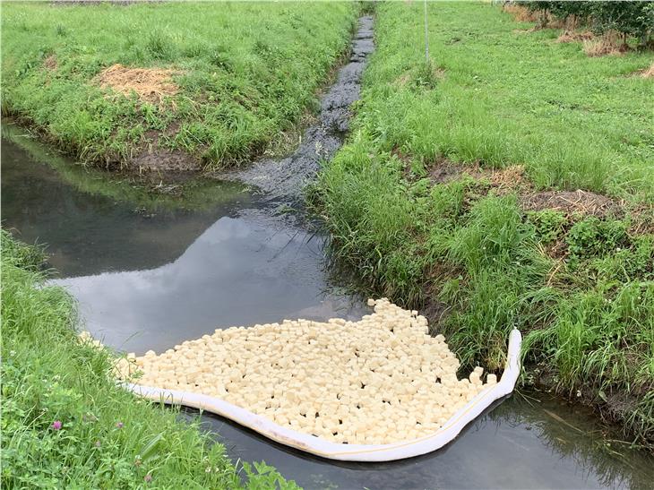 La confluenza tra la roggia e la Fossa Perele, dove sono visibili le barriere assorbenti. (Foto: ASP)