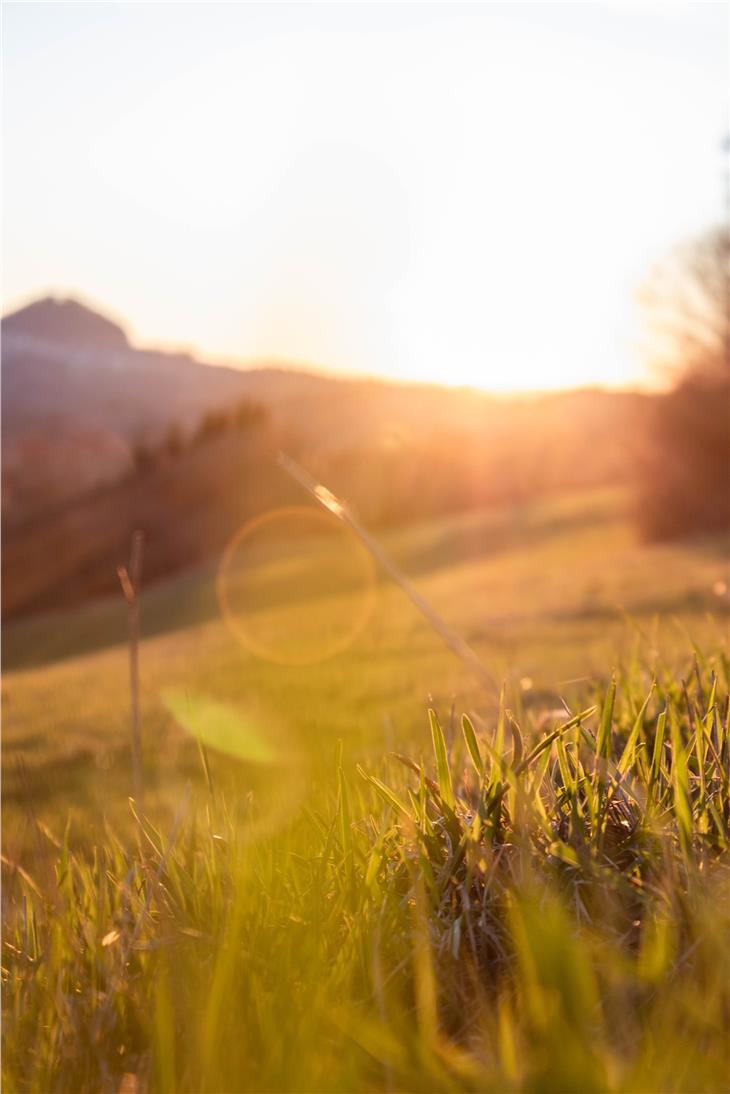 Con l’aumento della temperatura e dell’insolazione salgono le concentra­zioni di ozono. Ieri superata la soglia di attenzione a Cortina sulla strada del Vino. (Foto: unsplash)