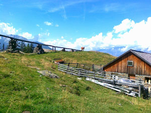La malga "Morter"
