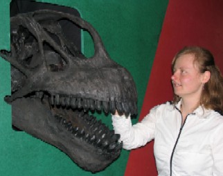 Un cranio di dinosauro esposto al Museo di Scienze Naturali