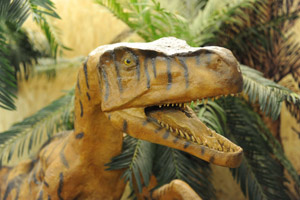 Velociraptor al Museo di Scienze Naturali
