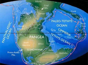 Una mappa del Tetide