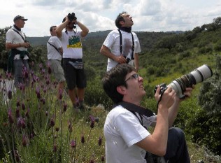 Attività di birdwatching