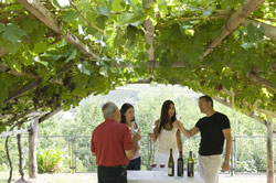 Mercatino nel vigneto al Museo del vino