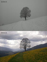 La vila "Amaten" sopra Brunico (Foto: Copyright Michael Mutschlechner)