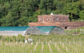 Il vivaio forestale Piglon