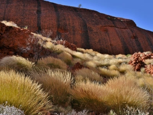 Conferenza sull'Australia al Museo di Scienze Naturali in via Bottai,1 a Bolzano