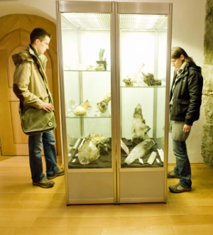 Visita al Museo di Scienze Naturali