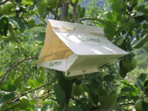 Uso sostenibile dei prodotti fitosanitari Future IPM Integrated Pest Management