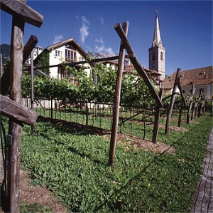 La sede del Museo del vino