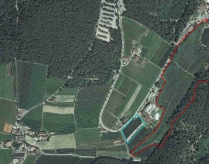 La superficie in blu è interessata alla variazione per consentire l’ampliamento dell’Hotel Moser (a destra nell’immagine); il biotopo è rappresentato in rosso