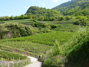 La biodiversità rappresenta una notevole ricchezza per il nostro territorio