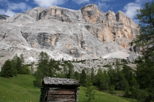 L'area in cui si svolgerà l'indagine nl corso della Giornata della Biodiversità