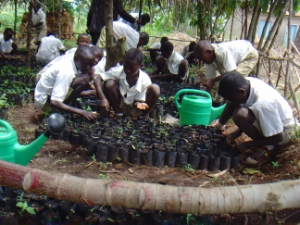 L'Euregio finanzia un programma di sviluppo rurale sostenibile in Uganda e Tanzania (Foto: USP-Ufficio affari di gabinetto)