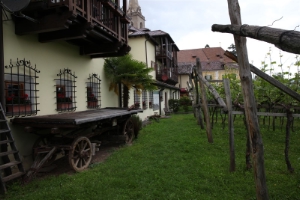 Museo del vino all'esterno con vigneto