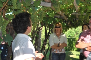 Museo provinciale del Vino