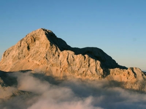 La flora della Slovenia in una conferenza per immagini al Museo di Scienze Naturali (18 ottobre)