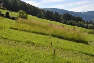 Coltivazioni montane