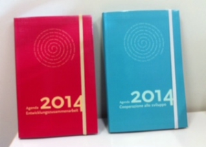 Le Agende 2014 della Cooperazione allo sviluppo