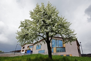 La sede del Planetarium