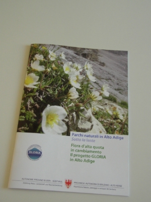 Flora d’alta quota in cambiamento - Il progetto Gloria in Alto Adige