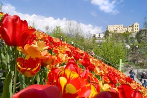 Il primo aprile aprono i battenti i Giardini di Castel Trauttmansdorff