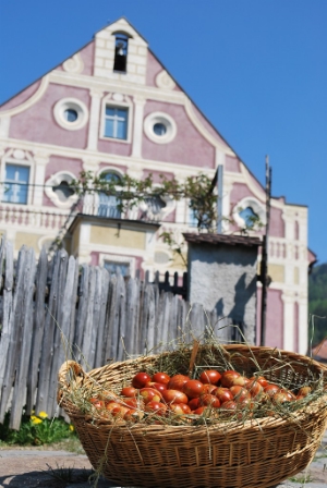 Il 21 aprile il Museo di Teodone ospiterà la tradizionale caccia alle uova di Pasqua